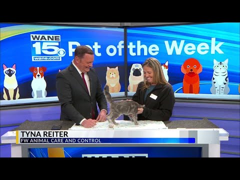 Pet of the Week: 10/28/25 - YouTube
