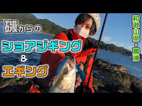 和歌山県勝浦　沖磯で2種類の釣りを楽しむ（ガッ釣り関西/2021年12月4日放送）