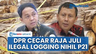 DPR Cecar Raja Juli Ilegal Logging Nihil P21: Bentengnya Terlalu Kuat atau Bintangnya Tak Terhitung?
