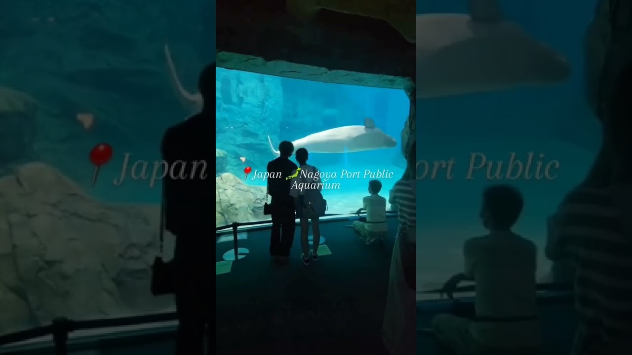 YouTube Short thumbnail