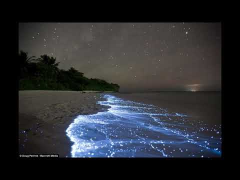 Dan Thompson - You're All Coming With Me