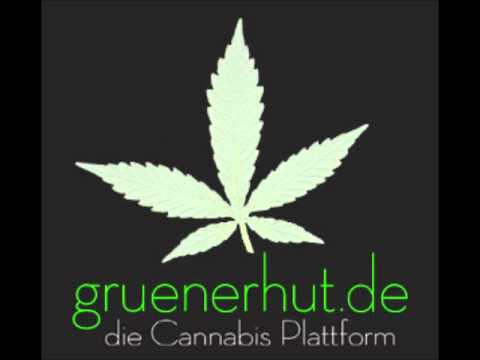 George Jung feat. K.c. and Darner - Schnauze voll