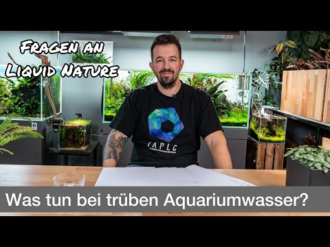 What to do if your aquarium water is cloudy? | Questions for Liquid Nature