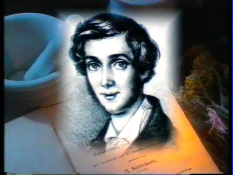 Theodor Fontane - als ob preussische Fahnen wehen