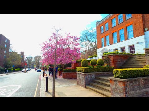 London Walk 🌸- 4K (Melbury Road, Oakwood Court, Addison Road)