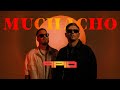 qpid - Muchacho (Official Video 4k)