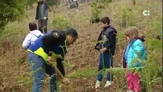 Reforestando por Gran Canaria