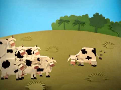 Collective Consciousness 02/10 - Climate