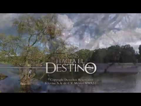 Droga Do Szczęścia - Entrada #2