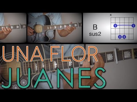 Una Flor - Juanes