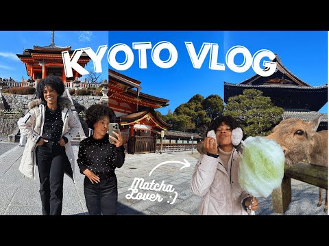 Day Trips to Kyoto & Nara Travel Vlog: Bamboo Forest, Matcha & Food Tour, Feeding Deer in Nara Park