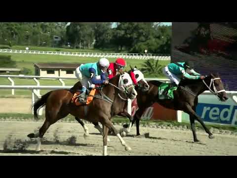 220311 c04 - NOA - HIPODROMO LAS PIEDRAS