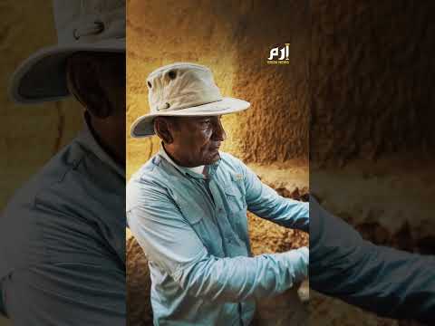 مصر.. نقيب الممثلين يوضح حقيقة تدهور الحالة الصحية لعبلة كامل 