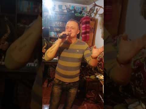Florin Crișan - Birtule batrinule nou 2020 live