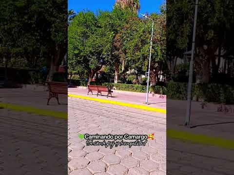 Así se vive en Camargo-Bolivia🍇🍷#paz