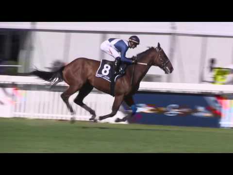 SUN MET , A SUBLIME EXPERIENCE OF EXTAORDINARY PROPORTIONS.