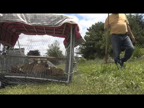 OSU Extension Supports Sustainable Agriculture, Local Foods