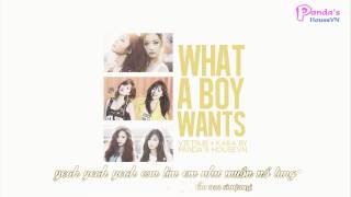 [Panda's HouseVN][Vietsub + Kara] What A Boy Wants - Apink