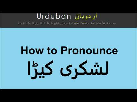 Lashkaree Keera pronunciation in Urdu | Pronounce Lashkari keera in Hindi | لشکری کیڑا کا اردو تلفظ