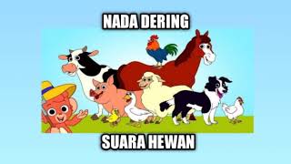 Download lagu Nada dering Suara Kodok lucu mp3 Download lagu Nada dering Suara Kodok lucu mp3