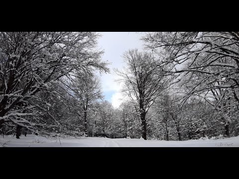 The Little Meadow (Poiana Mică) Brașov - A snowy March 2022