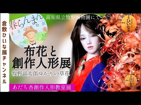 [Exposición de flores de tela y muñecas creativas] Flores relacionadas con Tomitaro Makino 🔸 Una exposición de clase de muñecas creativas Adachi ◆ Jardín Botánico Makino de la prefectura de Kochi del drama matutino Haru Ranman ◆ Muñeca articulada con rótula ◆ Muñeca articulada con rótula / muñeca de arcilla con articulaciones móviles