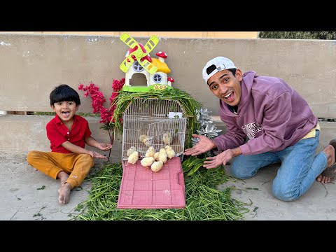 Pumpi Ka Mini House Ready Hogea 😘| Chicks Ka Naya Ghar Kisne Banaya 😅|