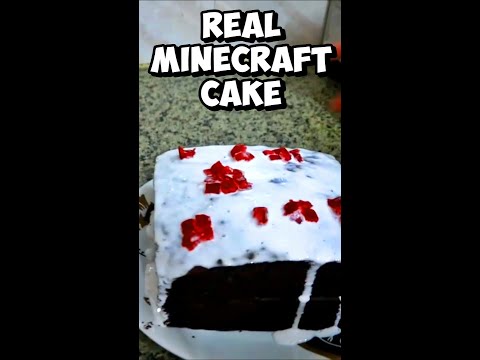 Dante Hindustani Makes Mind-Blowing Minecraft Cake! 🔥