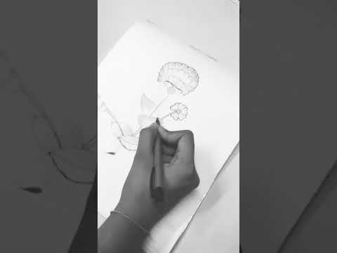 Flower Shading 🌹🌷🌼#shading #sketch #flowers #comingsoon #viralvideo #shorts #new #creator #like #me