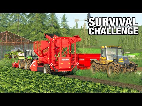 BUYING THE SUGAR BEET HARVESTER - Survival Challenge No Mans Land FS19 Ep 41