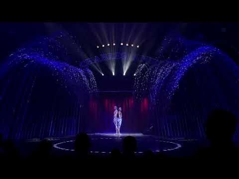 DEVIN e DAVIDE AERIAL STRAPS DUO