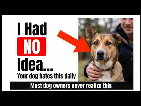 10 Behaviors That Quietly Push Your Dog Away (Without You Realizing It)