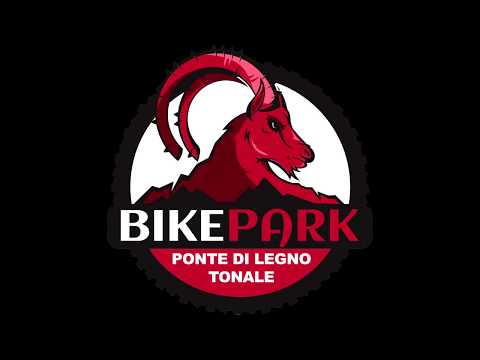 Bike park Tonale - Ponte di legno