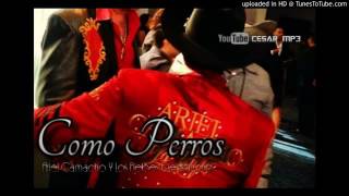 Como Perros - Ariel Camacho y Los Plebes Del Rancho 2016