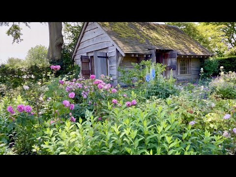 レヴァイン・ラーゴについて詳しく解説