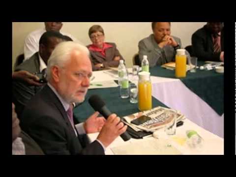 EU chides Zim NGOs, critics | The Herald EU chides Zim NGOs, critics | The Herald