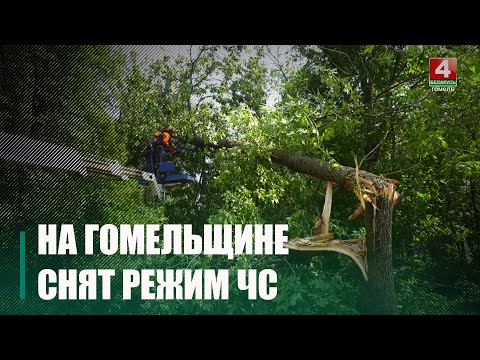 ЧС отменили, но всё же...  На Гомельщине продолжают работать горячие линии по вопросам ликвидации последствий урагана  видео