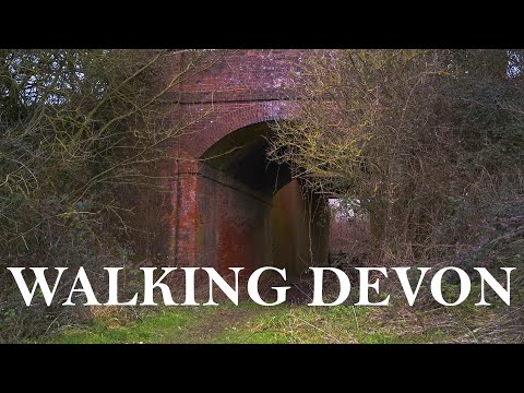 Devon Walks: Feniton to Tipton St John Disused Railway Line Part 1