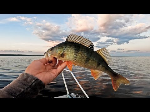 ISOA AHVENTA MERELTÄ - KALASSA YÖN YLI - MISTÄ AHVENPAIKAT LÖYTYY - HENKARILIPAN TESTAUS JA RAKENNUS
