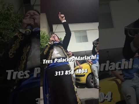mariachis en cúcuta norte de Santander Colombia trespalacios