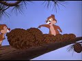 Disney Cartoons Donald Duck With Chip N Dale Trailer Horn