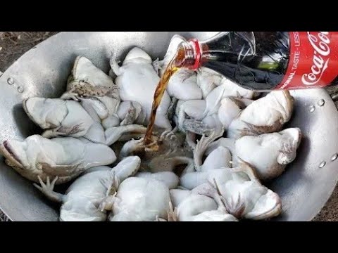 Eating Delicious - Tasty Fried Frogs Cooking Recipe - Yummy Frog Coca cola
