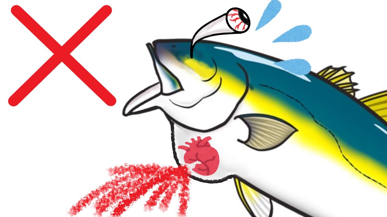 魚の血管が爆発する圧力は？