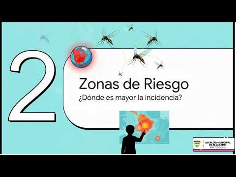 🟡 Prevención y Alerta por Fiebre Amarilla en el Tolima