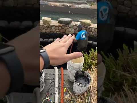 Nantucket island exploratory pond cleaning