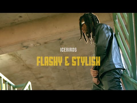Video thumbnail for FLASHY & STYLISH