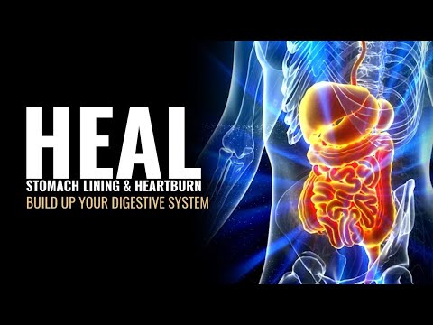 Build Up Your Digestive System | Heal Stomach Lining and Heartburn | Reset Your Gut Bacteria | 528Hz