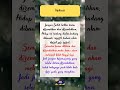 Jangan Sedih Ketika Kamu Dihina Shorts Shortsfeed Story Motivation Katakatabijak