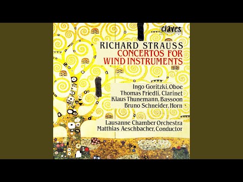 Duett-Concertino for Clarinet & Bassoon: I. Allegro moderato