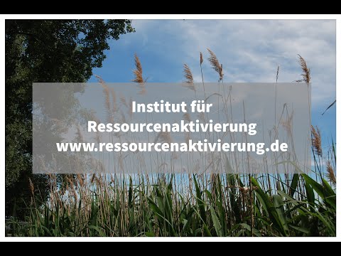 Übung: Die Ressourcenbrille
